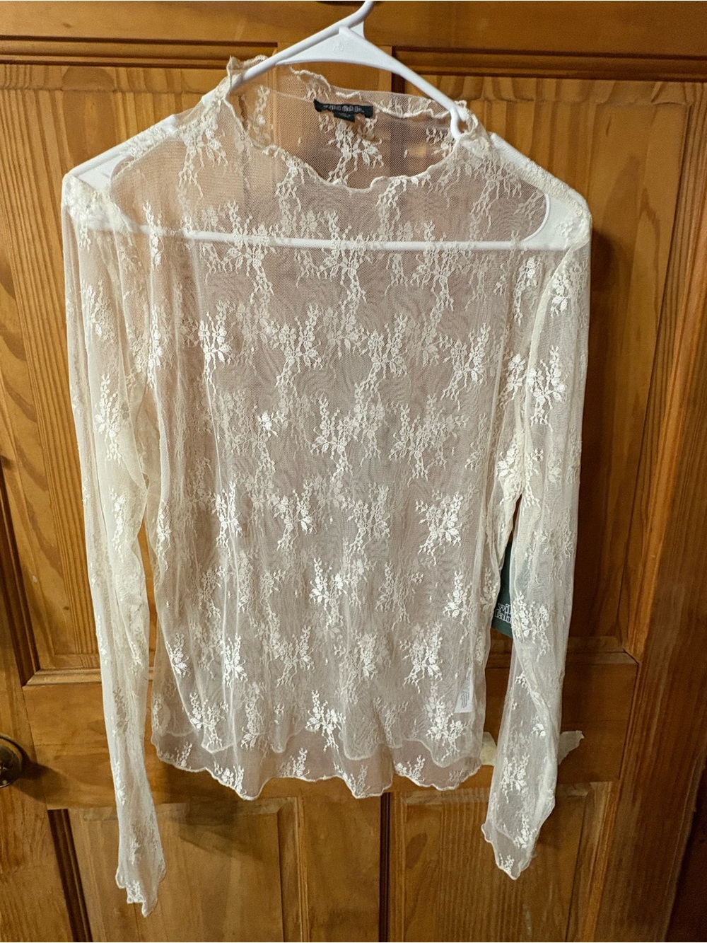 wild fable Sheer Lace Long-Sleeve Top - Cream